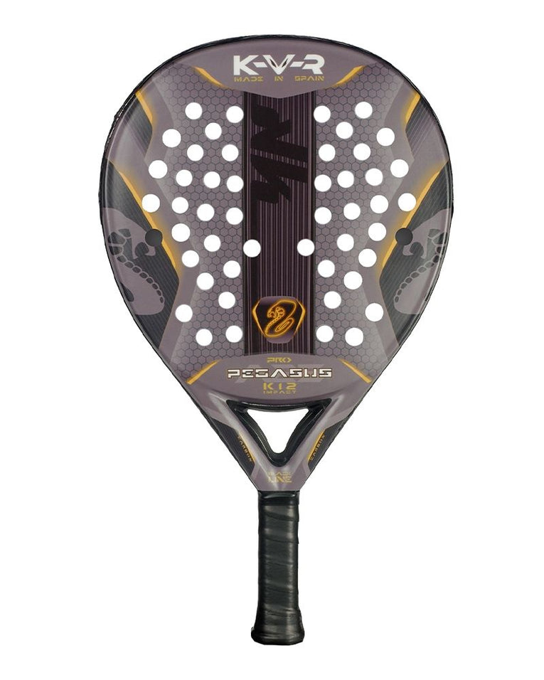 Akkeron Black Pegasus Pro