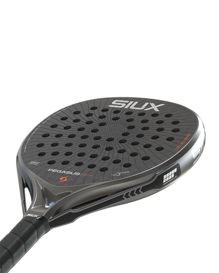Siux Pegasus Pro 2026 Storm Grey