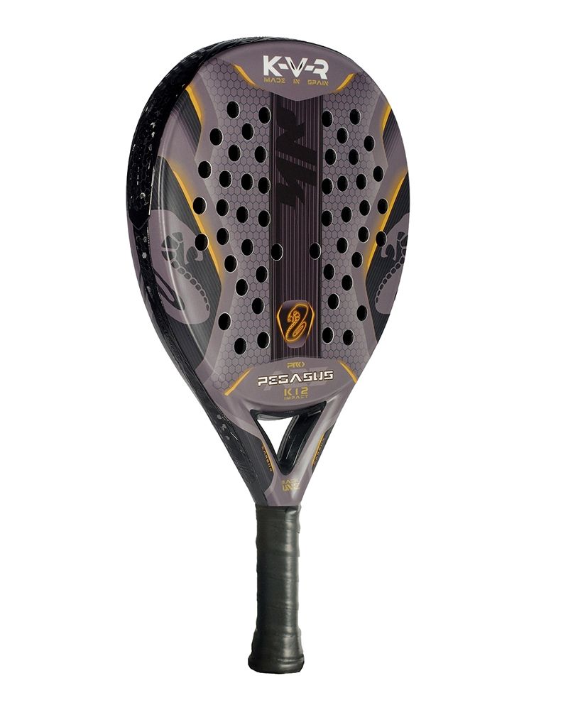 Akkeron Black Pegasus Pro