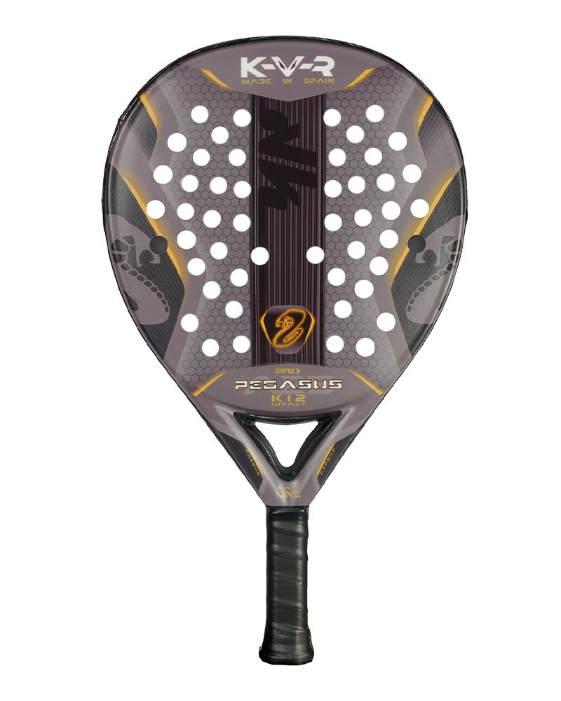 Akkeron Black Pegasus Pro