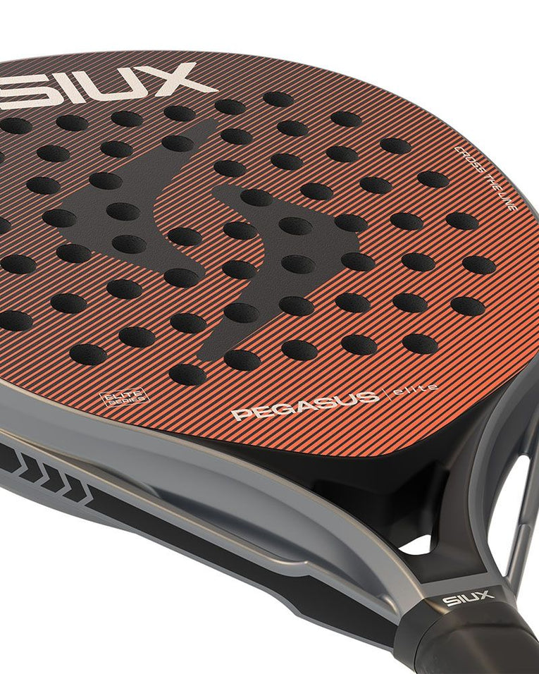 Siux Pegasus Elite 4